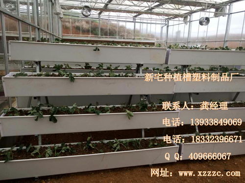 河北新宅雞槽塑料制品廠軟件開發(fā) 打造智能化生產(chǎn)與海量圖片管理系統(tǒng)